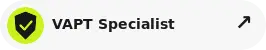 vapt specialist in Pakistan